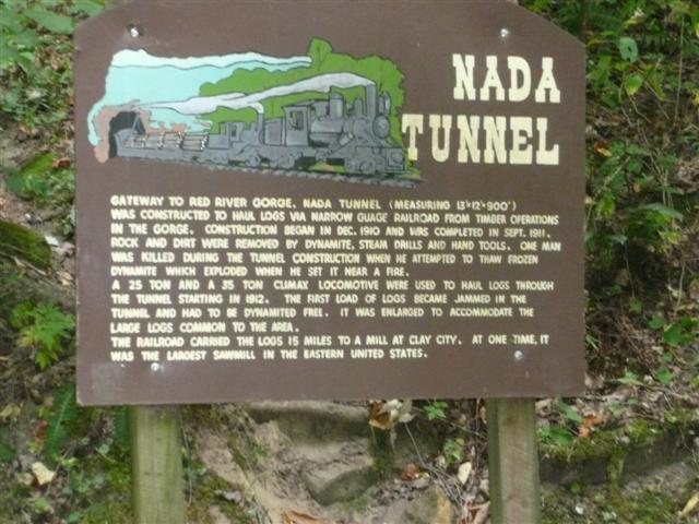 P1020596 (Small).JPG