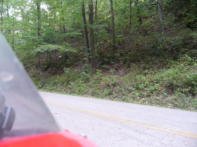 P1020599 (Small).JPG