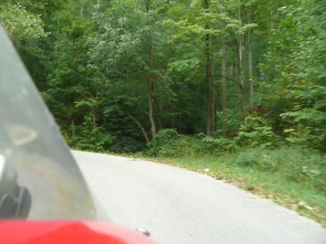 P1020600 (Small).JPG