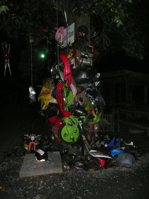 P1020629 (Small).JPG