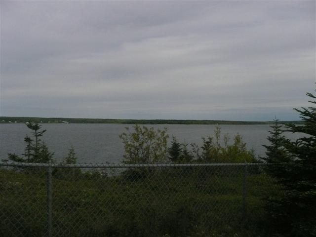 P1050203 (Small).JPG