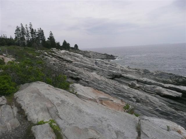 P1050229 (Small).JPG
