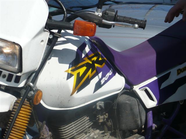 P1070963 (Small).JPG