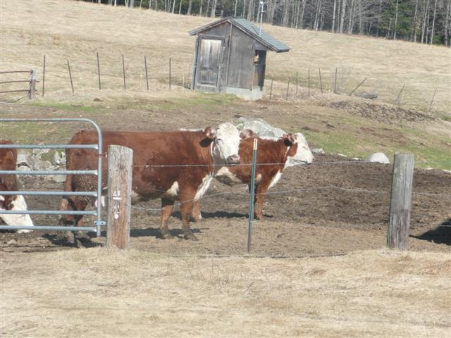 P1070972 (Small).JPG