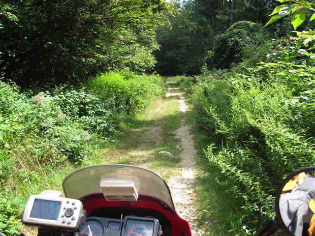 IMG_2554 (Small).JPG