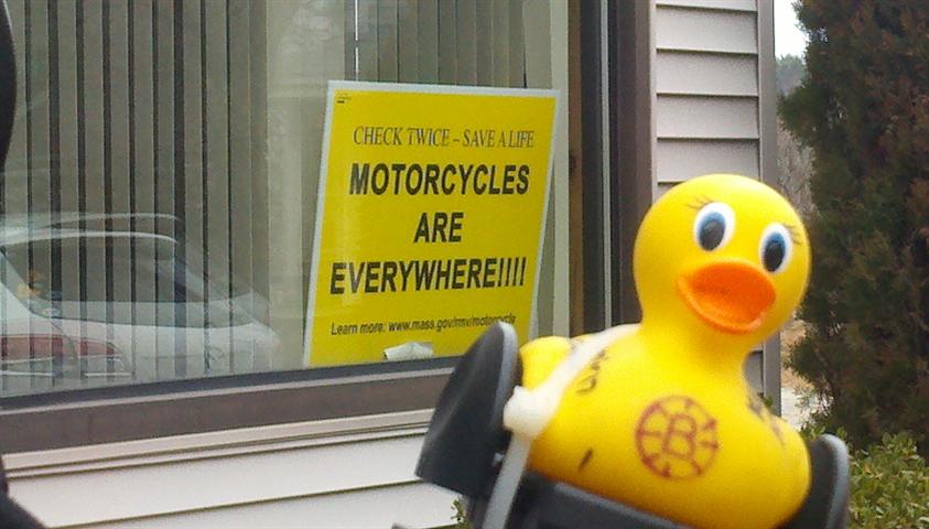 2011-12-27_10-56-40_400 (Small).jpg