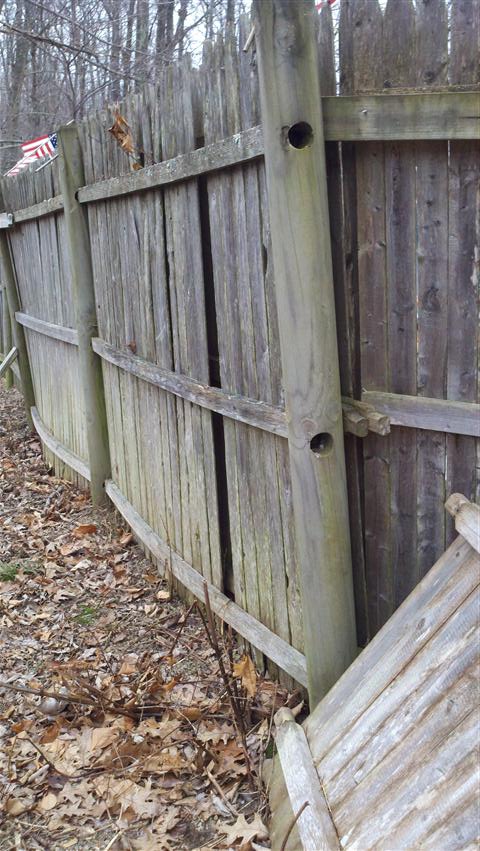 2011-12-27_12-33-03_172 (Small).jpg