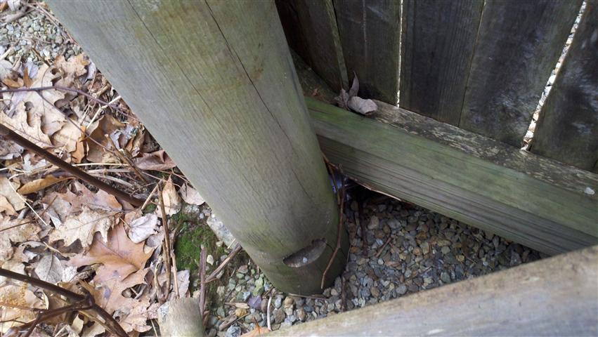 2011-12-27_12-33-15_832 (Small).jpg