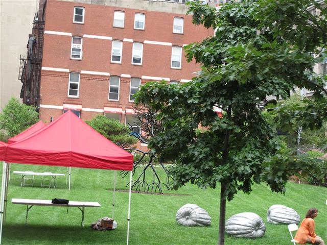 IMG_4883 (Small).JPG