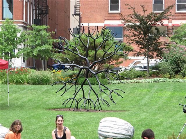 IMG_4885 (Small).JPG