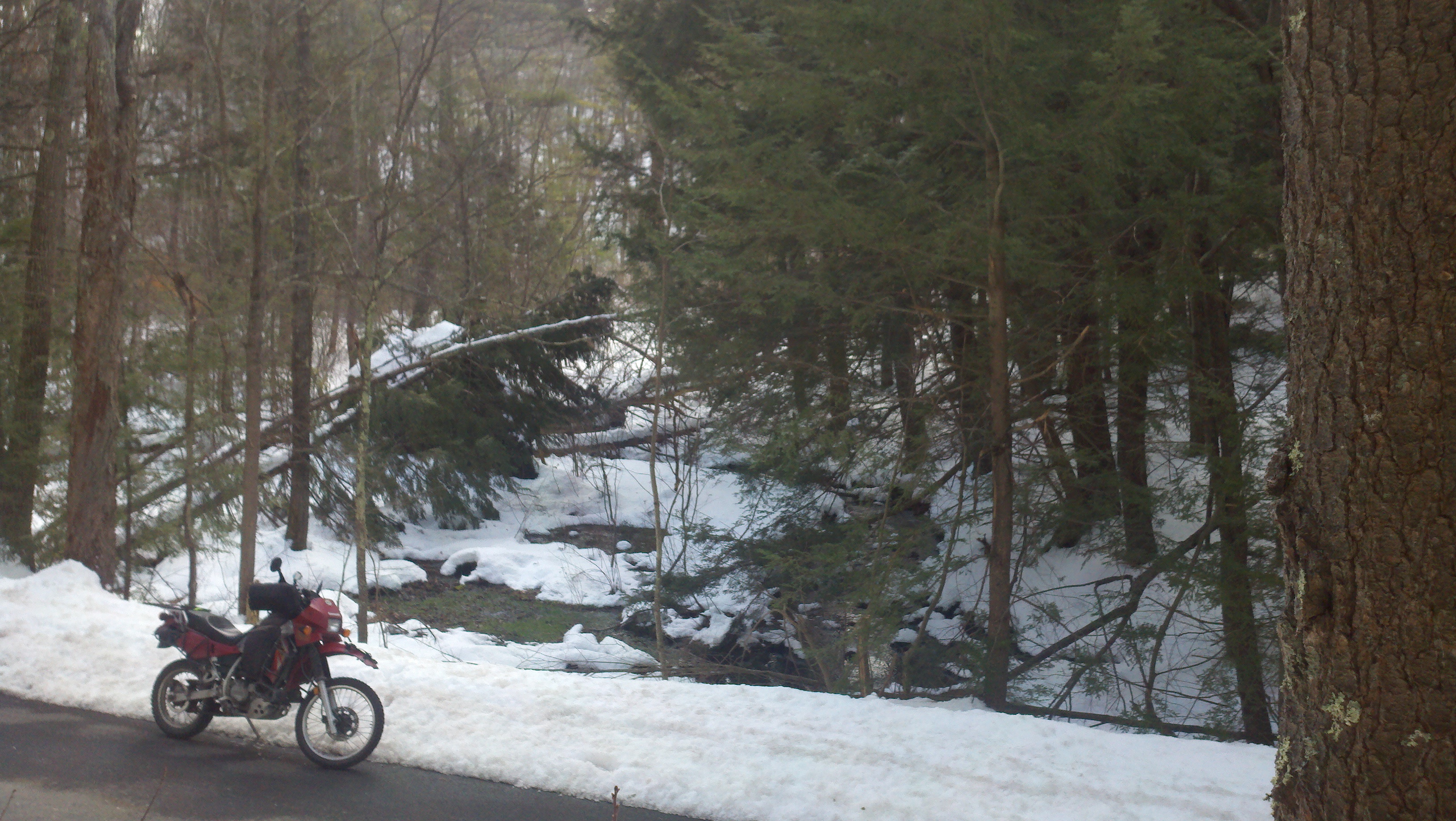 2013-02-13_11-38-27_655.jpg