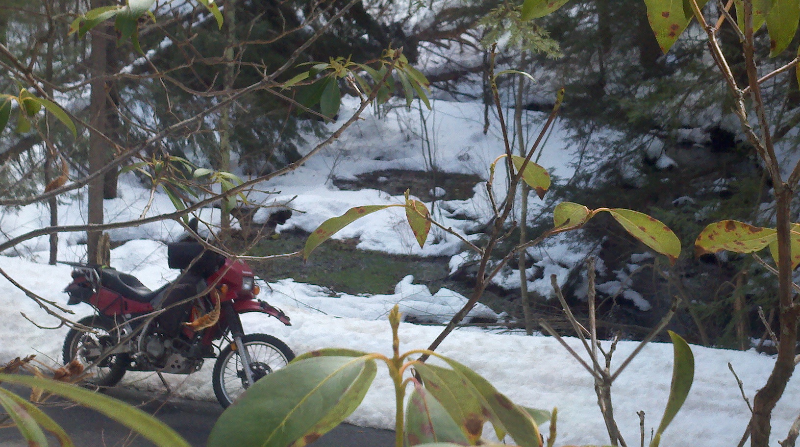 2013-02-13_11-39-38_917.jpg