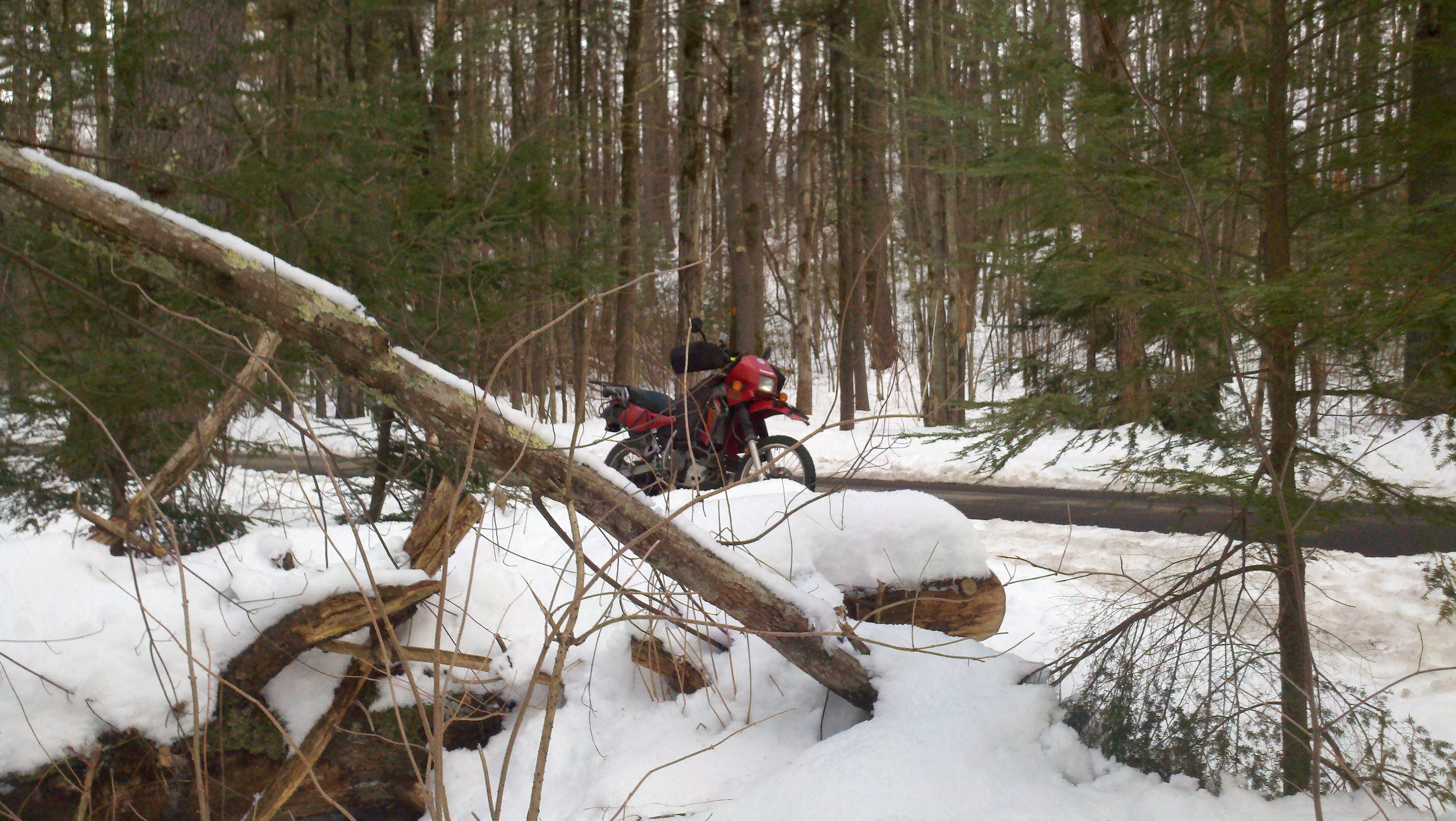 2013-02-13_11-44-32_38.jpg
