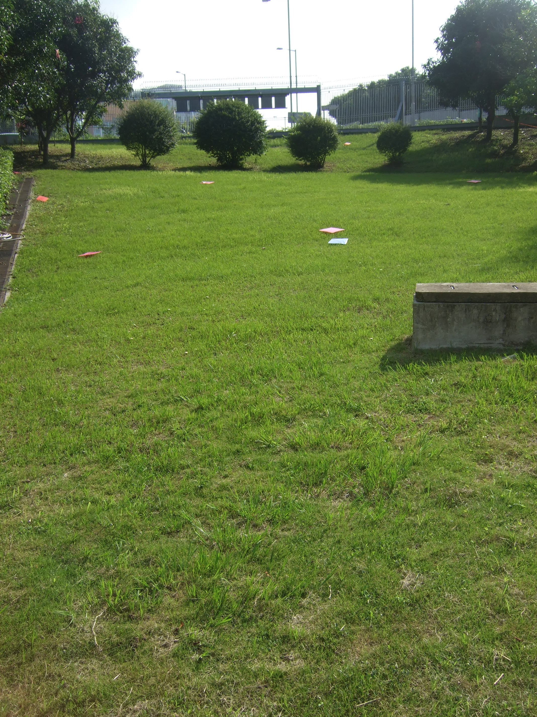 DSCF9634.JPG