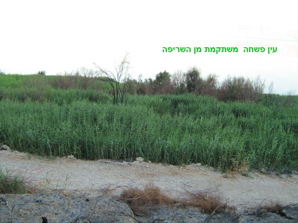   2.jpg