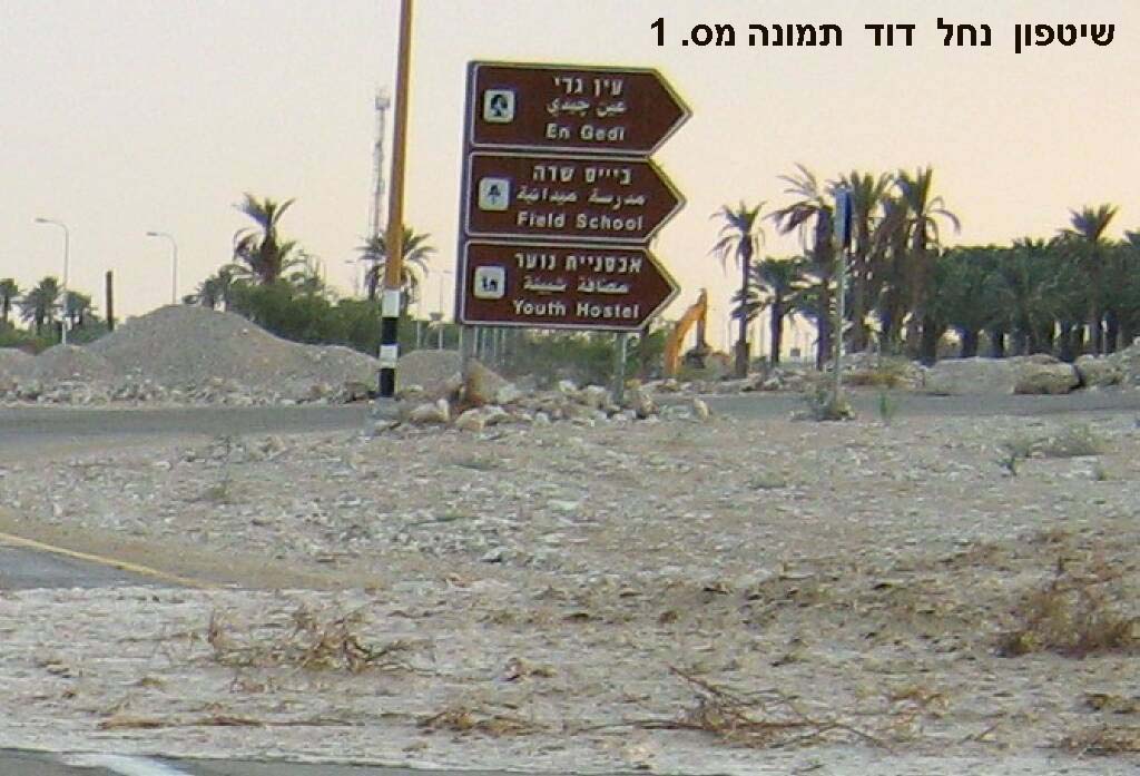     . 1.jpg