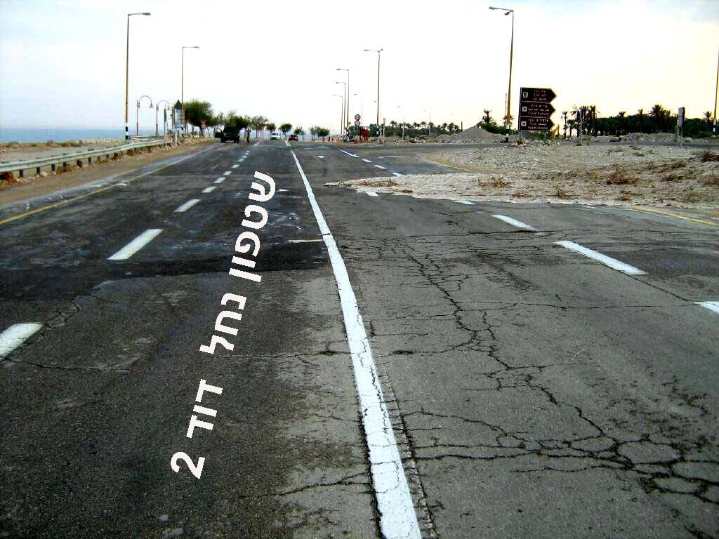     . 2.jpg