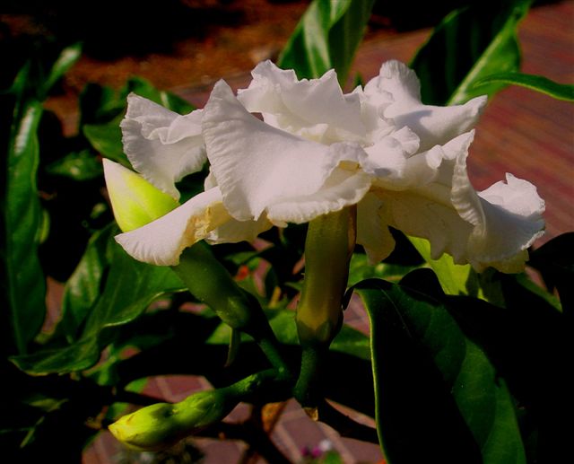 PA033799.JPG