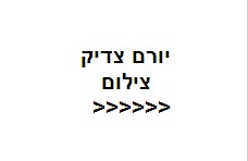 יורם צדיק=צילום.jpg