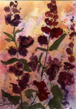 Purple Flowers 7-09