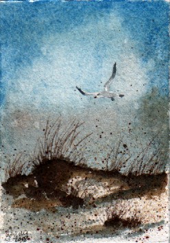 seagull 4-08