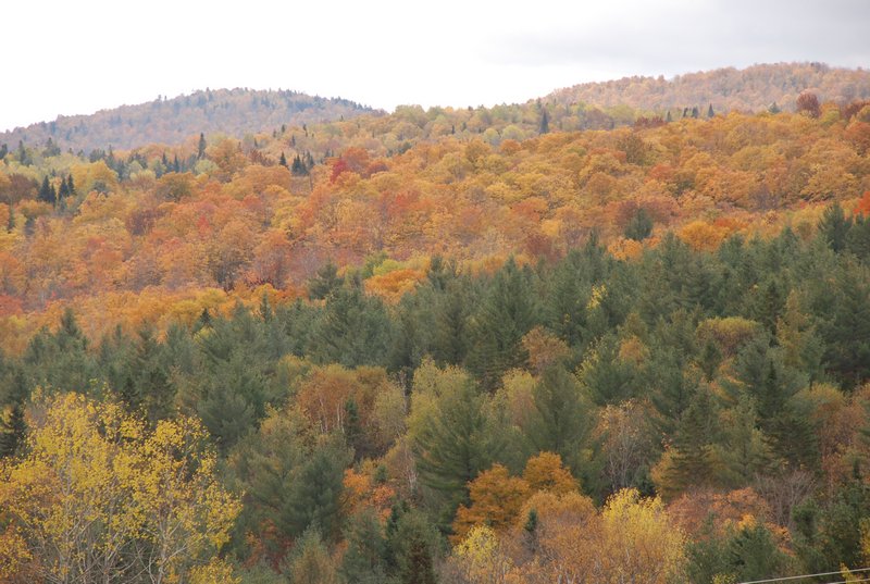 Along Vermont Hwy 110