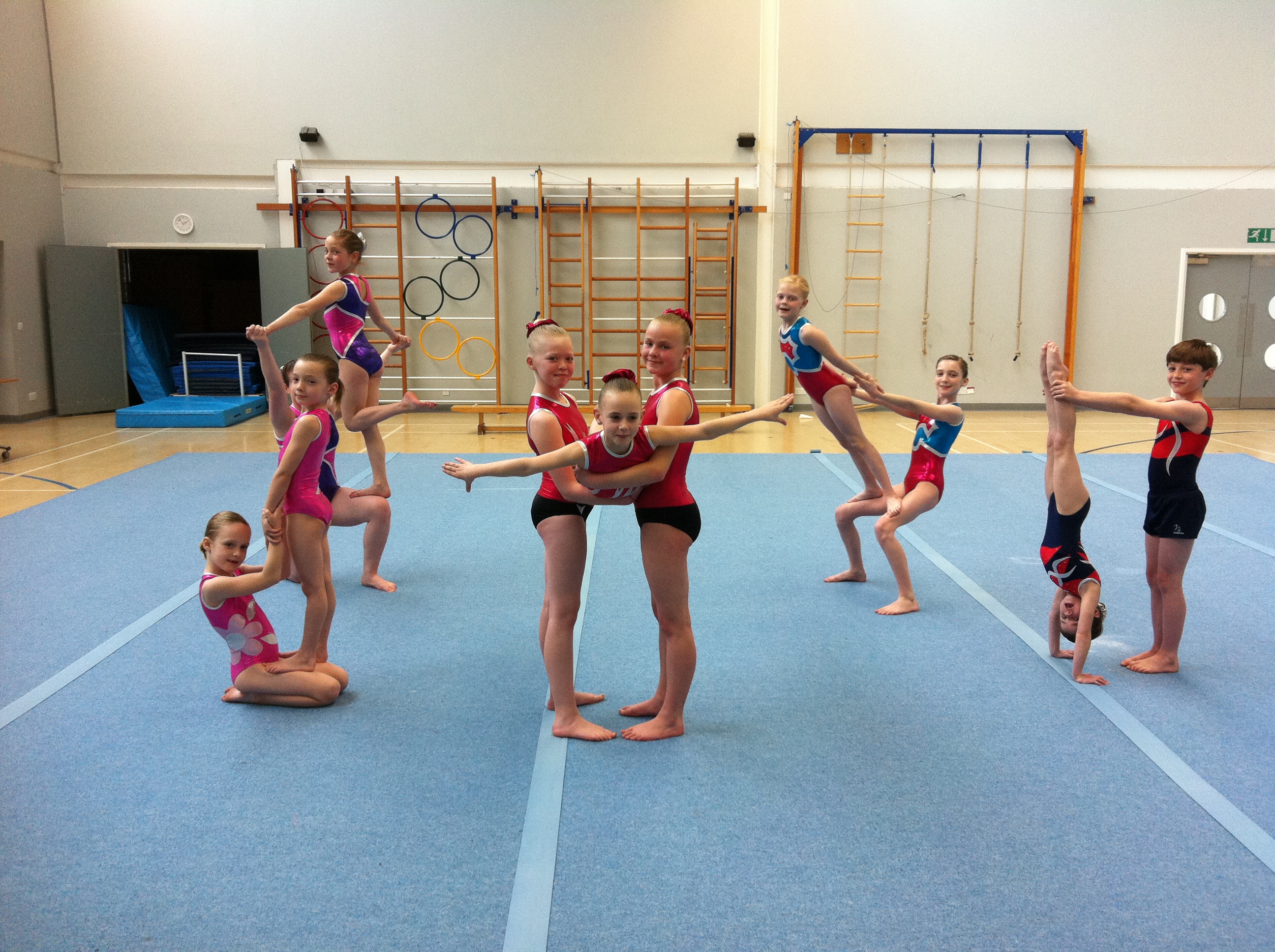 Competing gymnasts 2011.JPG