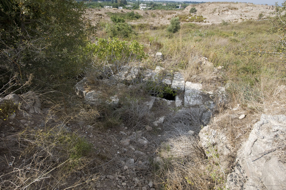 Ugarit sept 2009 3961.jpg