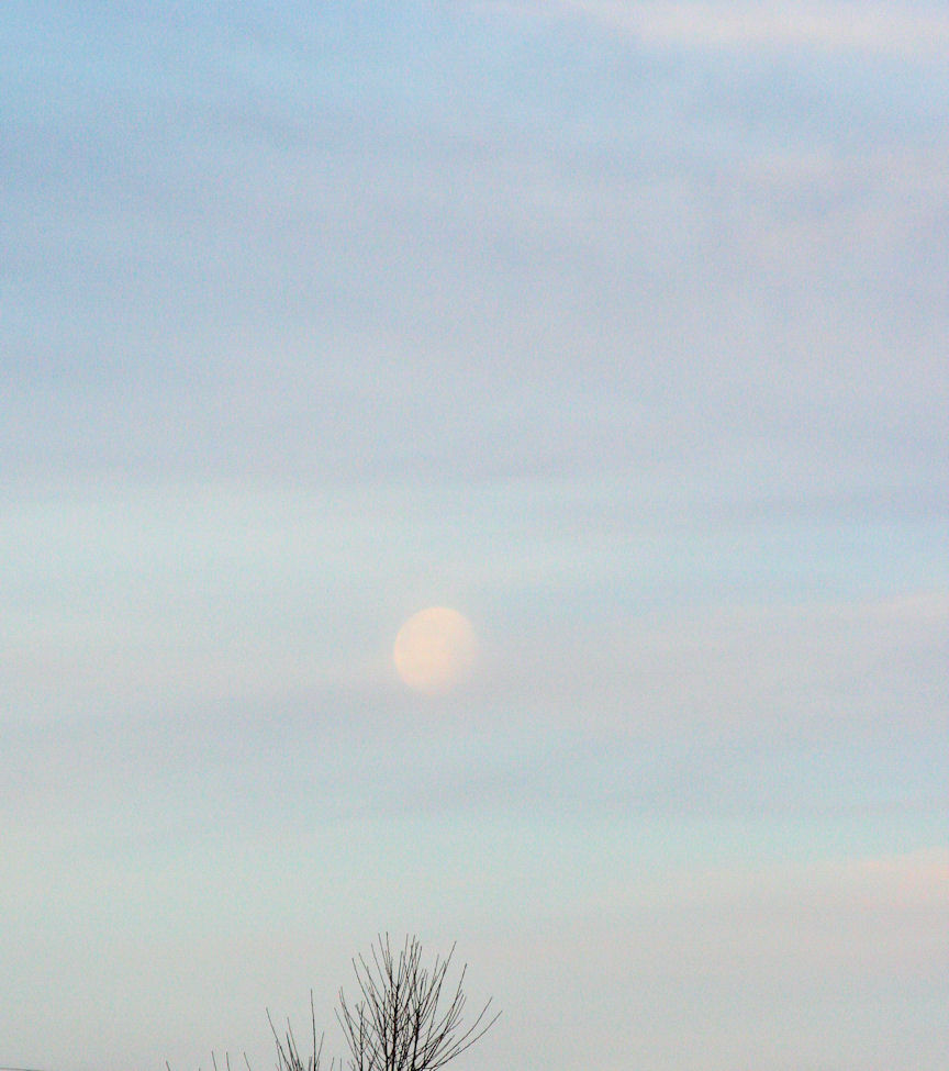 Apr 1, 2010
