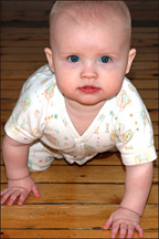 14 vie_crawlin_close-up_small.jpg
