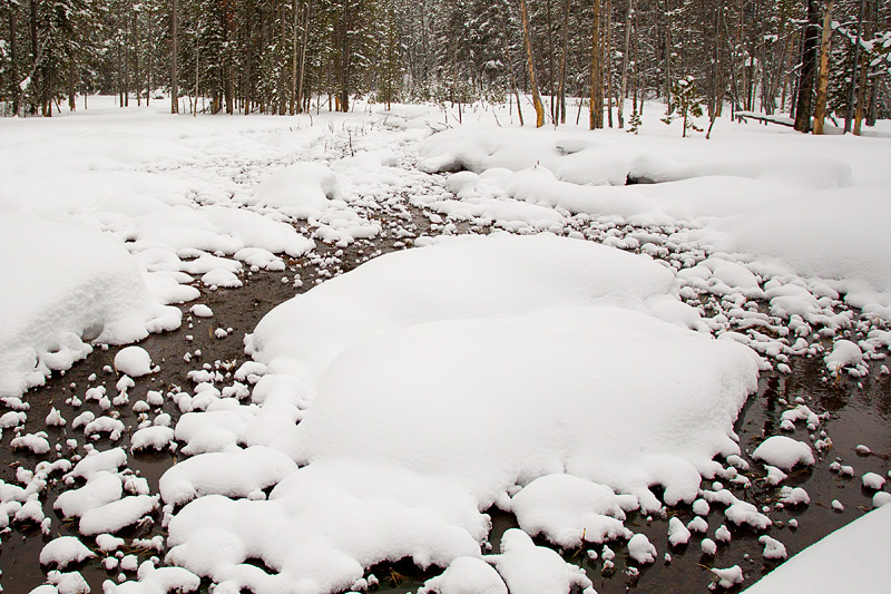 Yellowstone NP Winterscape