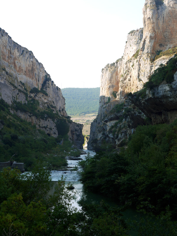 Can de la Foz