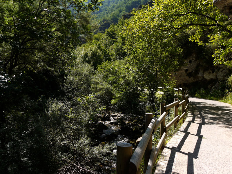 Detalle del paisaje