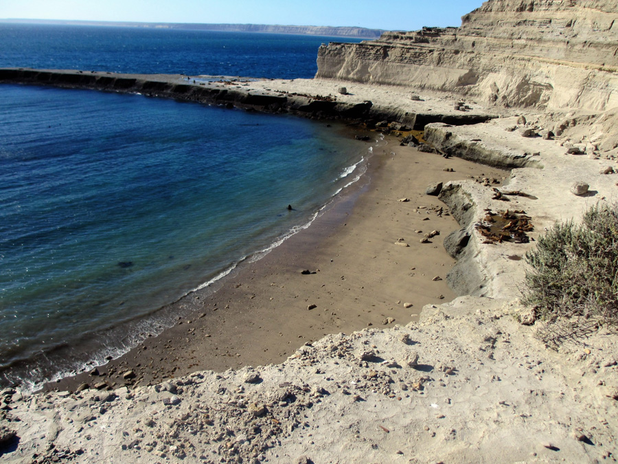 Valds, Punta Pardelas, otaries  fourrure