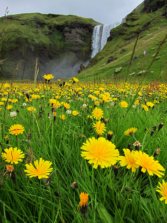 Skogafoss 2