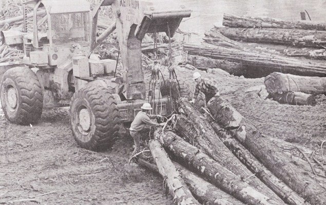  K. Bloom Logging