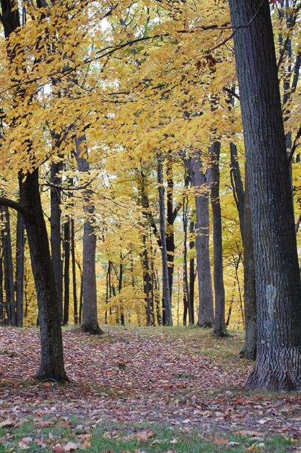 october_