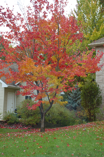 october_