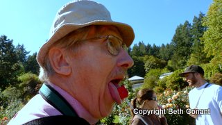 Then we stop at the Rose Gardens where Ron buys us all edible roses. Eat up, Ron!