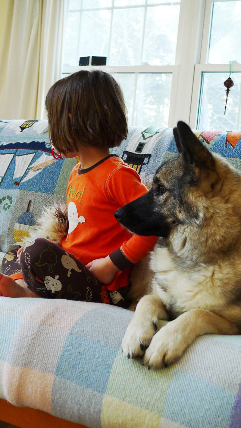 Good friends relax together over a snippet of TV.