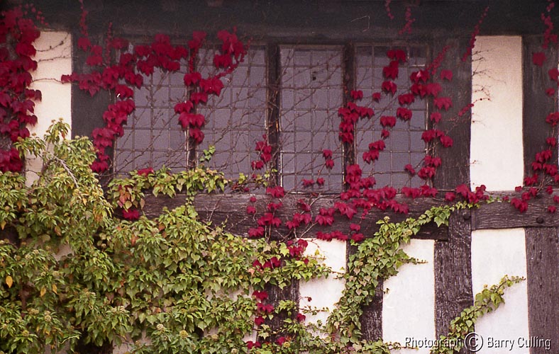 Ludlow window 2.jpg