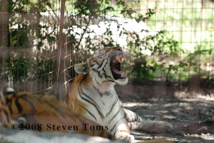DSC_7990.JPG
