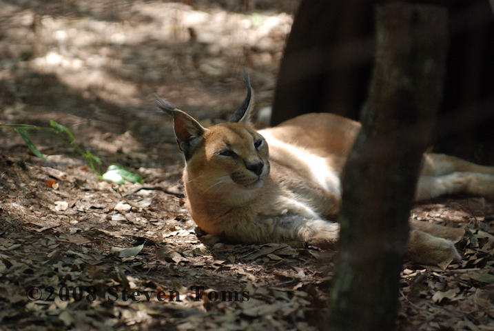 DSC_8024.JPG