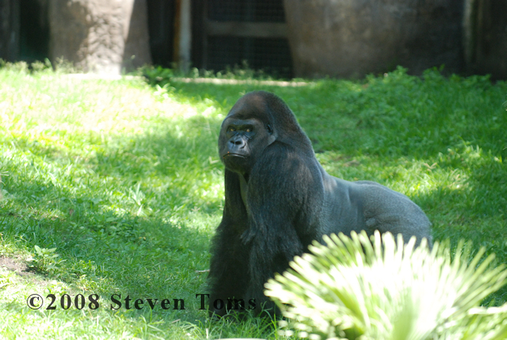 DSC_7871.JPG