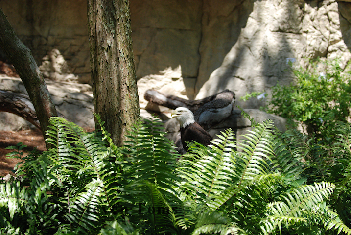 DSC_7913.JPG