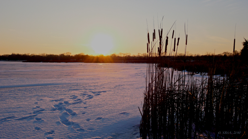 January colors... monochrome