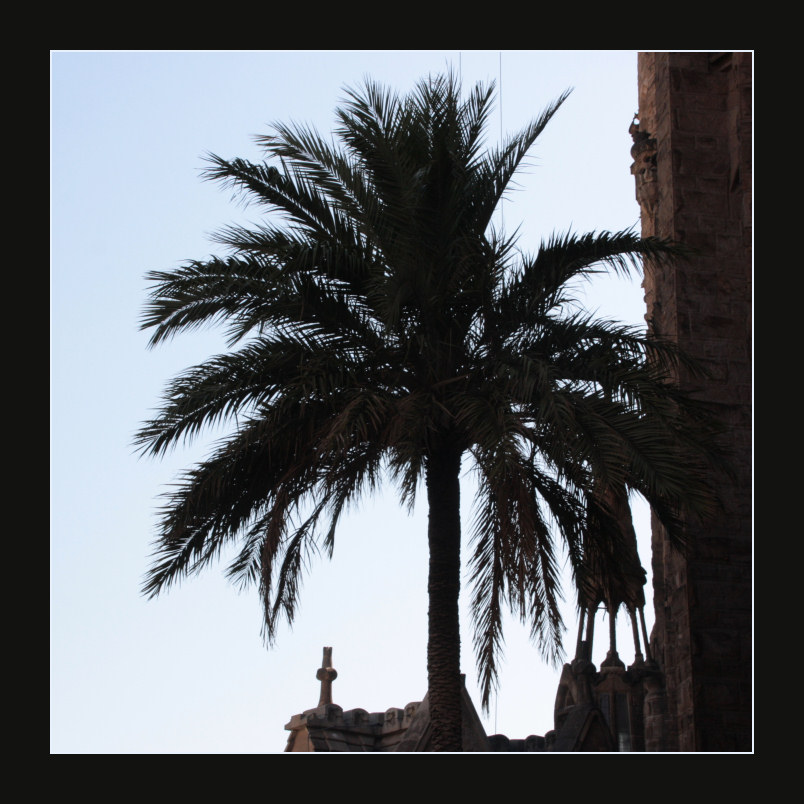 Barcelona Silhouette
