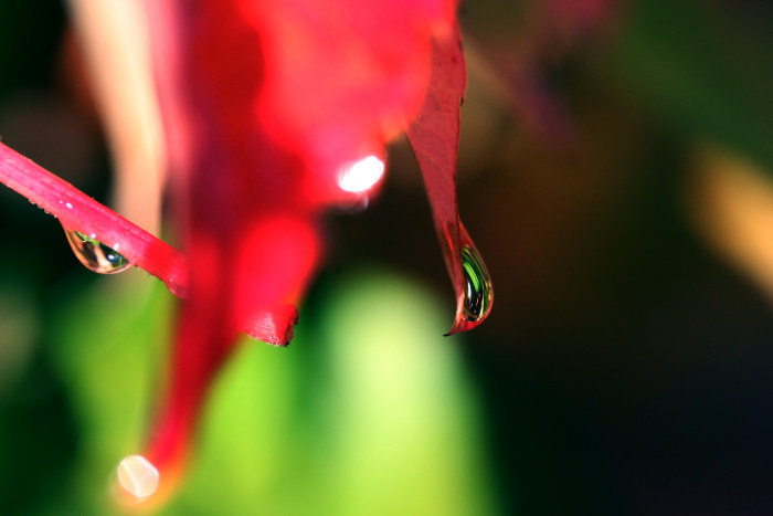 colours