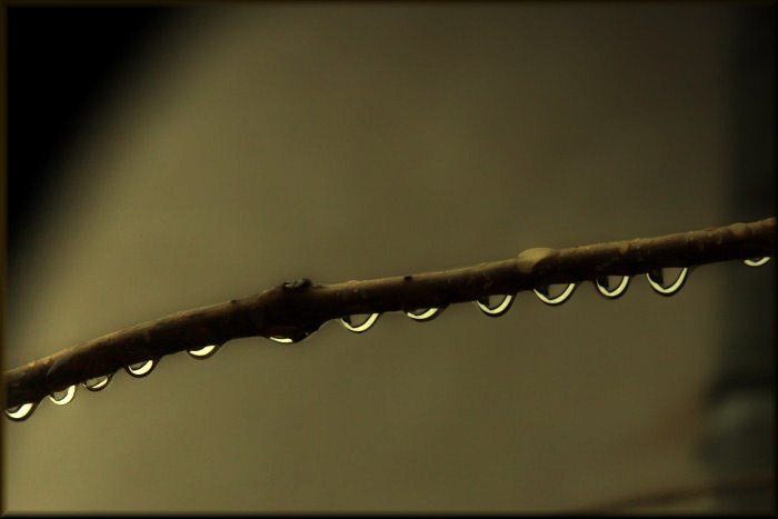 rain -bow