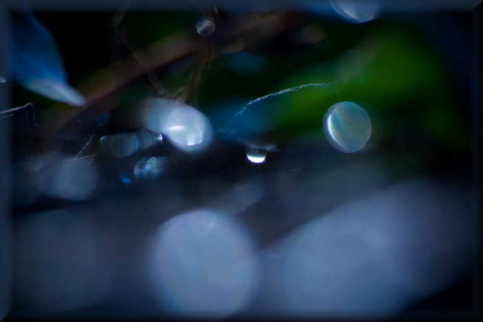 bokeh